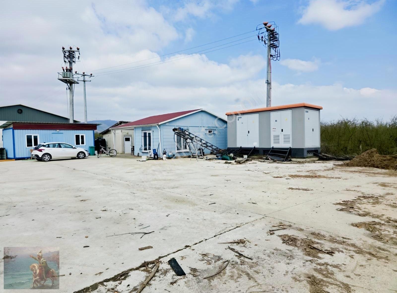 Çilimli' Şerefiye Mahallesinde 5.896m2 Ticari Alan - Görsel 9