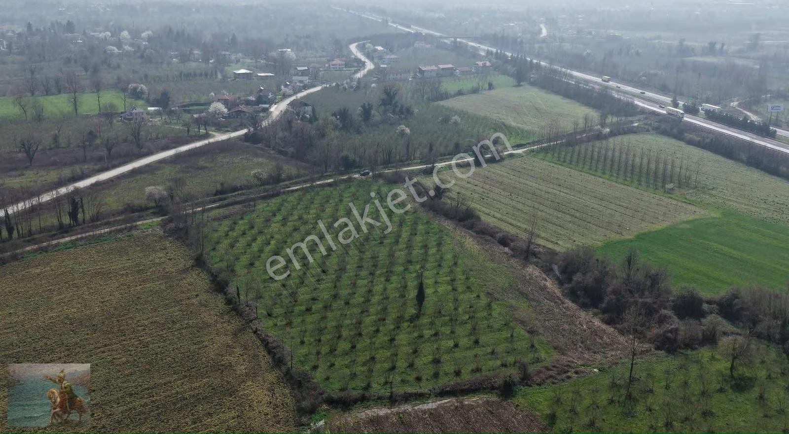 Düzce Merkeze 2 Km Yatırımlık 12.519 M2 Fındıklık - Görsel 20