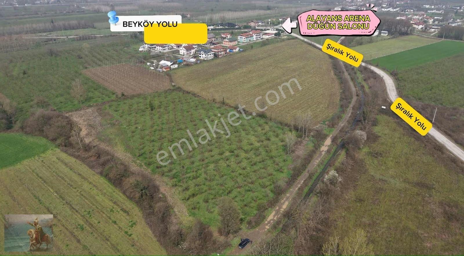 Düzce Merkeze 2 Km Yatırımlık 12.519 M2 Fındıklık - Görsel 5