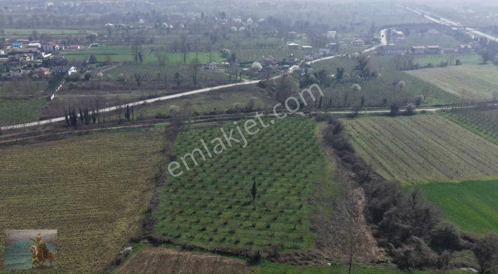 Düzce Merkeze 2 Km Yatırımlık 12.519 M2 Fındıklık - Görsel 12