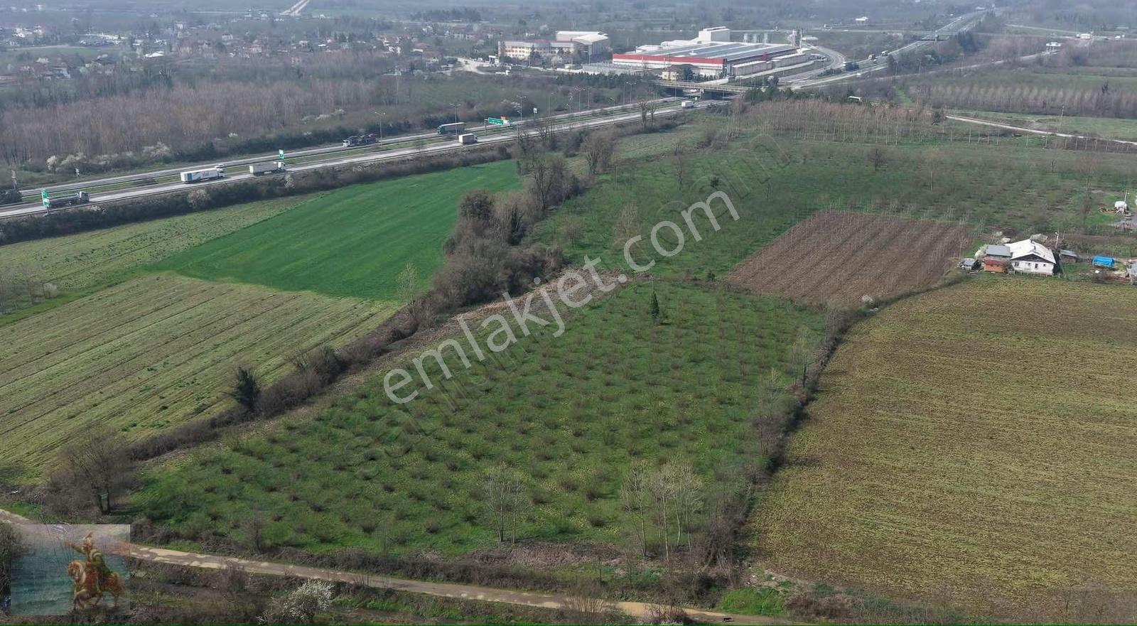 Düzce Merkeze 2 Km Yatırımlık 12.519 M2 Fındıklık - Görsel 4