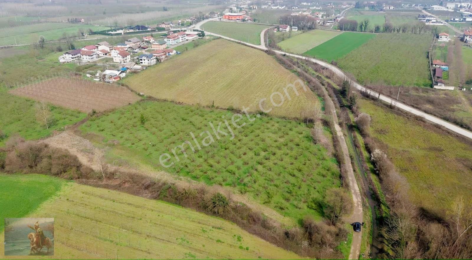 Düzce Merkeze 2 Km Yatırımlık 12.519 M2 Fındıklık - Görsel 7