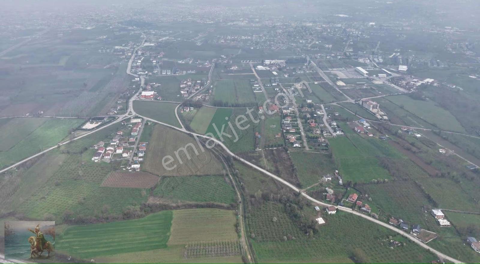 Düzce Merkeze 2 Km Yatırımlık 12.519 M2 Fındıklık - Görsel 8