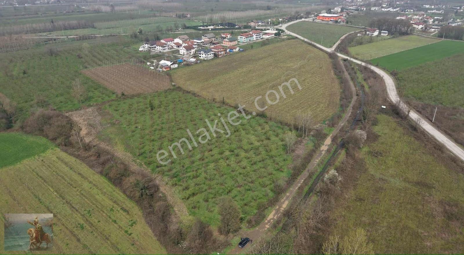 Düzce Merkeze 2 Km Yatırımlık 12.519 M2 Fındıklık - Görsel 23