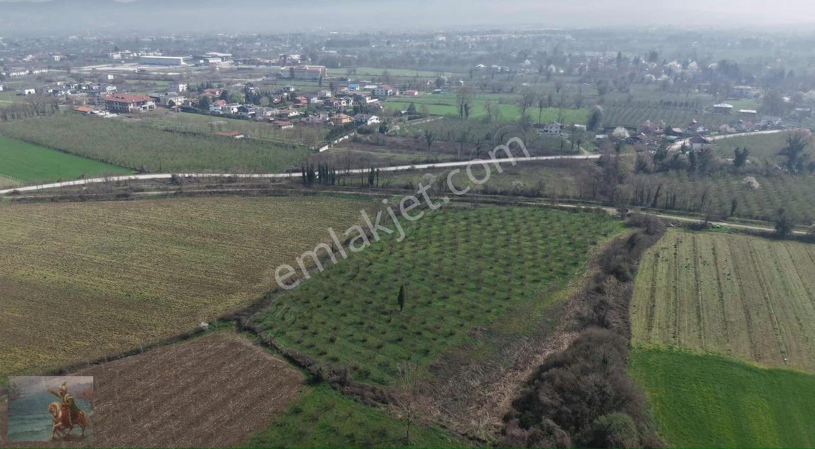 Düzce Merkeze 2 Km Yatırımlık 12.519 M2 Fındıklık - Görsel 21