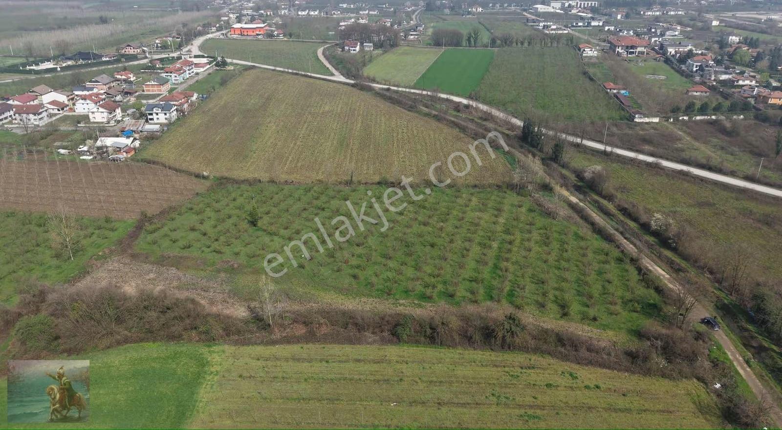 Düzce Merkeze 2 Km Yatırımlık 12.519 M2 Fındıklık - Görsel 13