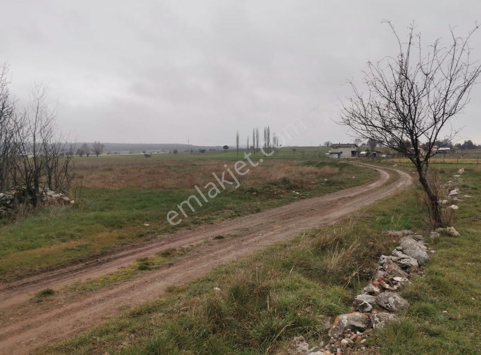 Odak^tan Tavşanlı Ovacık'ta Yol Kenarı, Sulu, Yatırımlık Tarla - Görsel 3
