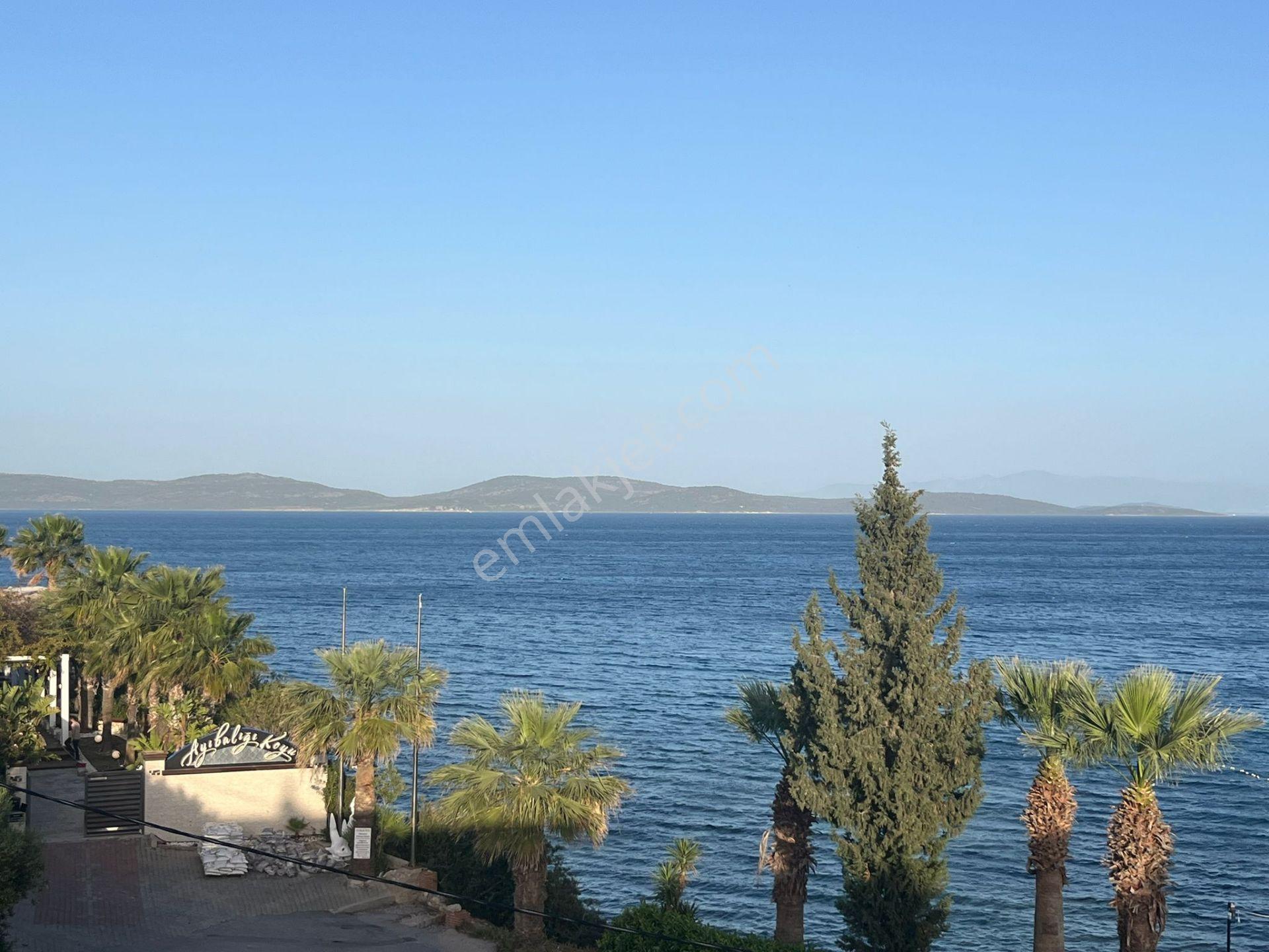 Asilden Ayıbalığında 2+1 Full Deniz Manzaralı Sezonluk Kiralık - Görsel 4