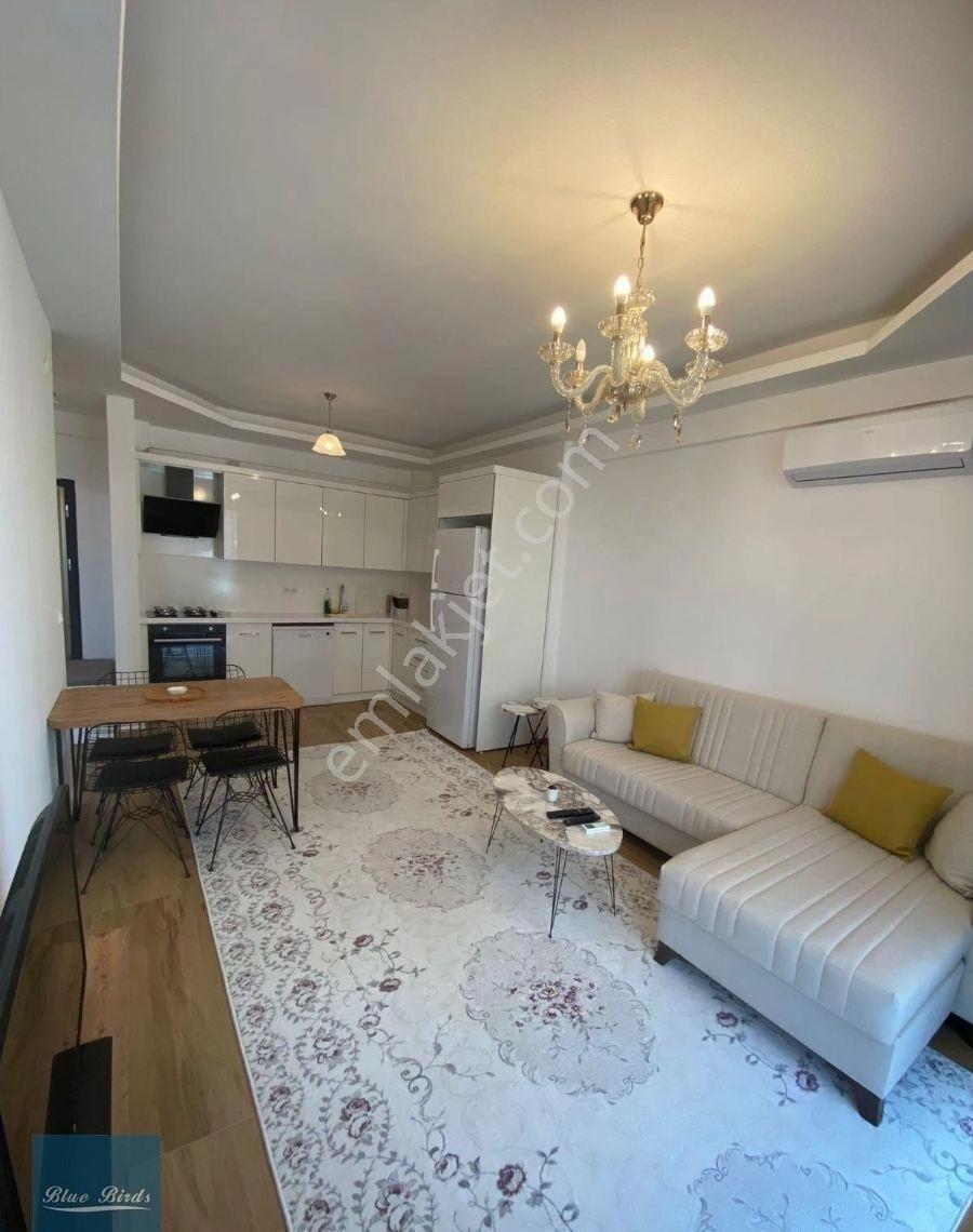 Kuşadası Değirmendere Mahallesinde Fırsat 1+1 Daire!
