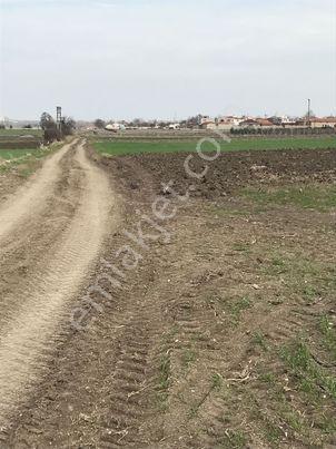 Ergene Esenlerde İmara Yakın Konumda 1100 M2 Satılık Bağyeri - Görsel 5