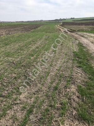 Ergene Esenlerde İmara Yakın Konumda 1100 M2 Satılık Bağyeri - Görsel 2