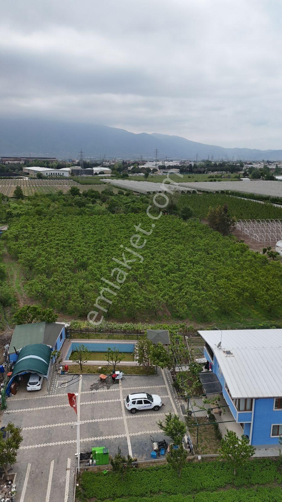Bursa Muradiye Üretime Ve Yaşama Hazır 7600m2 Arsa Çiftlik Evi - Görsel 22