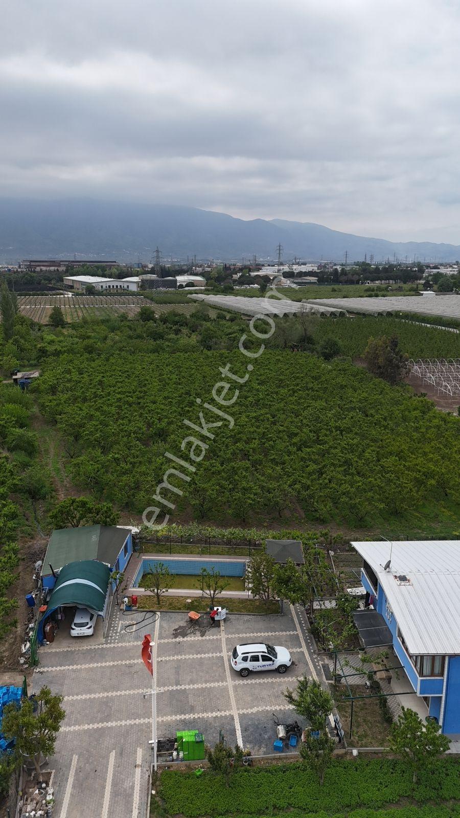 Bursa Muradiye Üretime Ve Yaşama Hazır 7600m2 Arsa Çiftlik Evi - Görsel 18