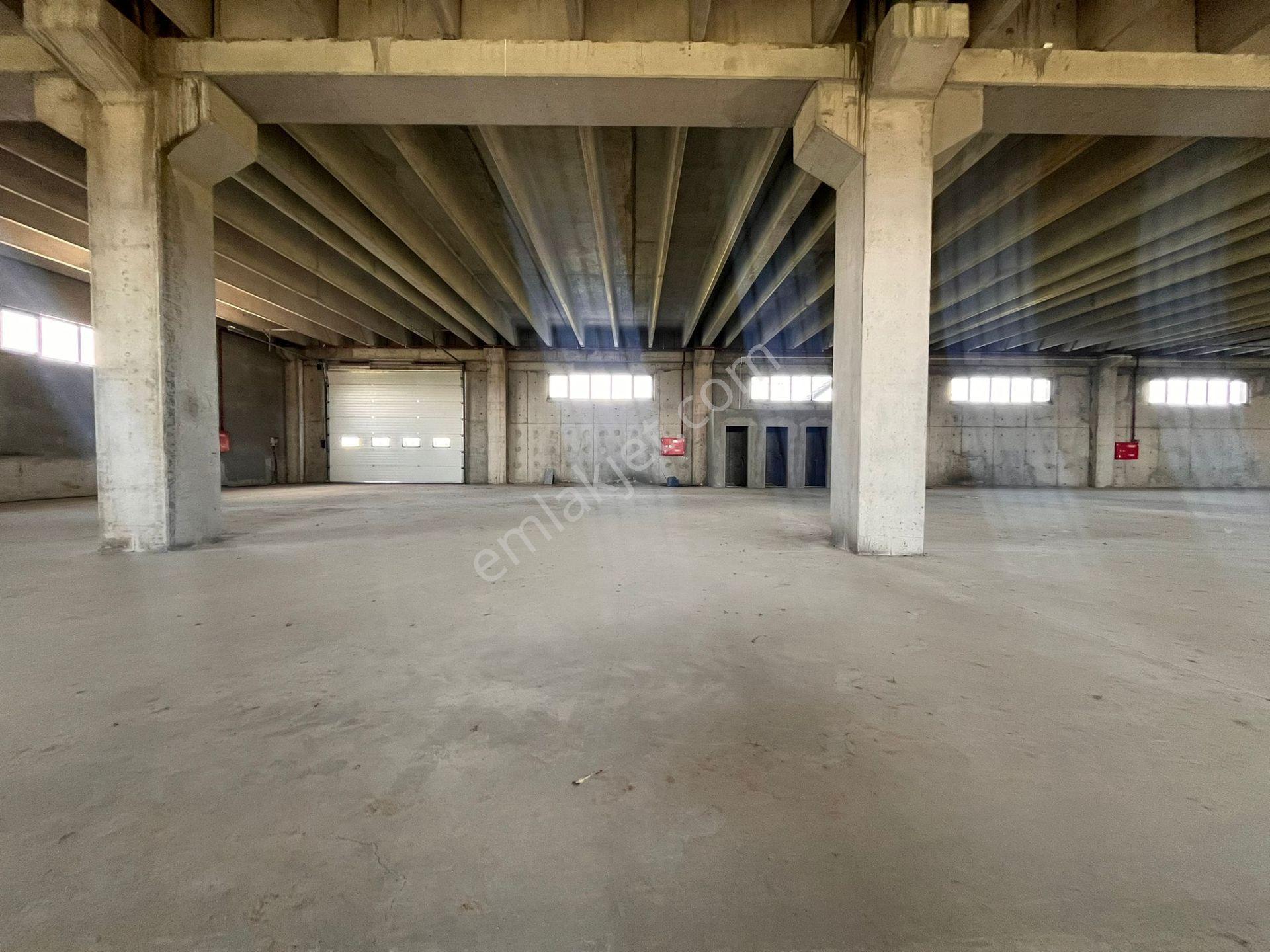 Çerkezköy-veliköy Osb’de 5.743 M² Kiralık Sıfır Depo Sanayi Tesisi - Görsel 31