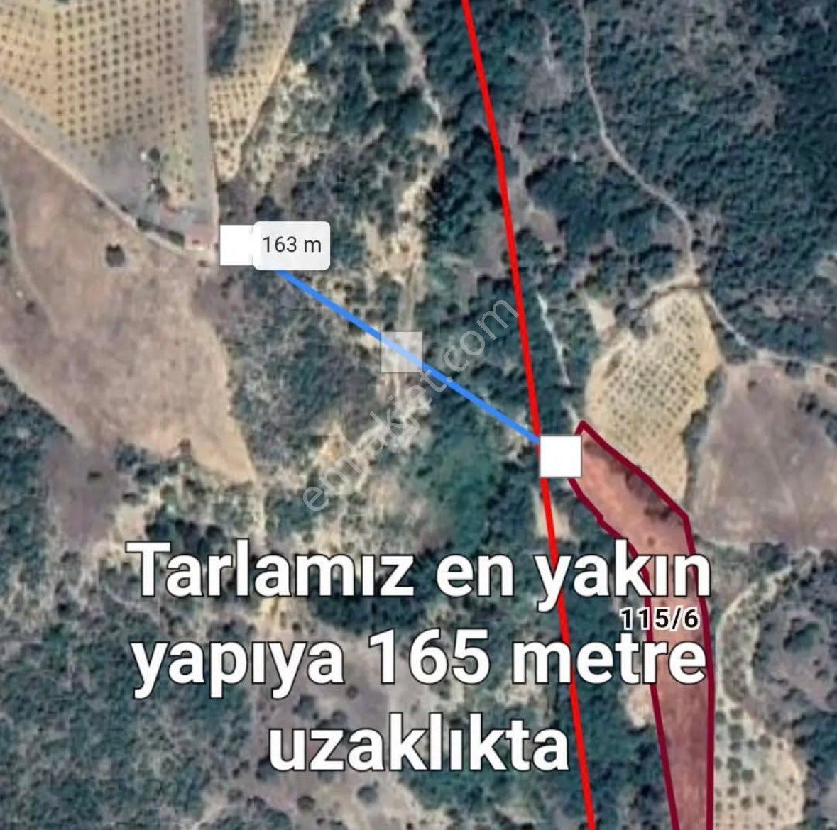 Balcity - Kütahya Şaphane İlçe Merkezde, Otoyola Yakın Tarım Ve Yaşam Fırsatı! - Görsel 13