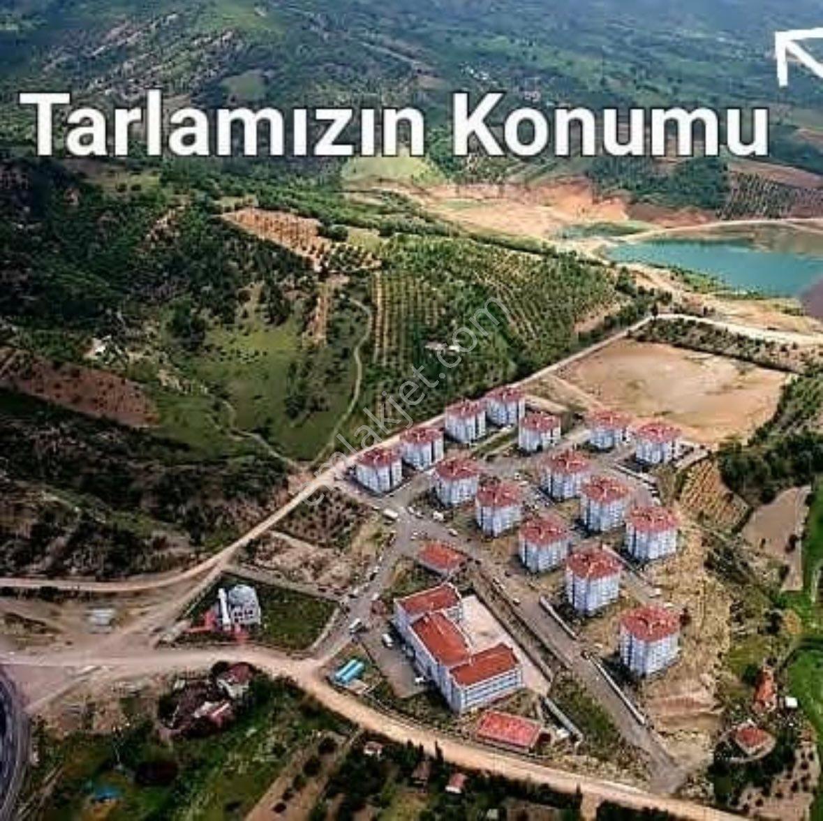 Balcity - Kütahya Şaphane İlçe Merkezde, Otoyola Yakın Tarım Ve Yaşam Fırsatı! - Görsel 5