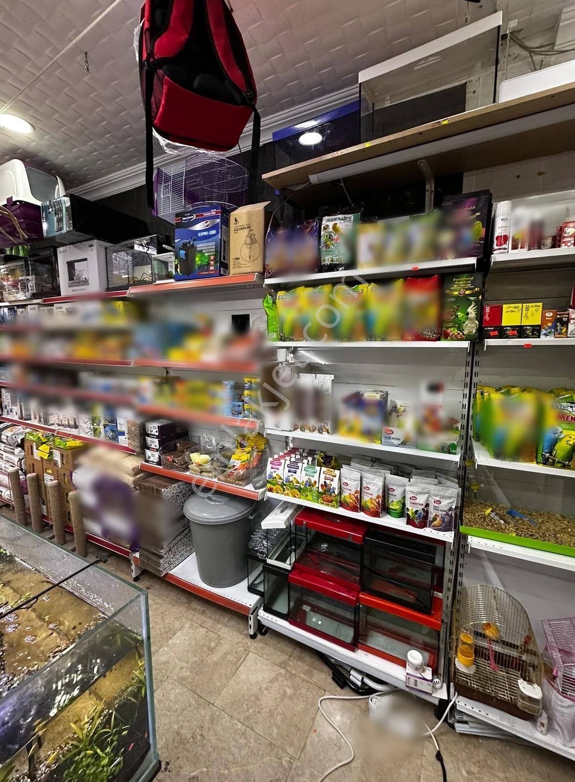 Ata Mahallesinde Yüksek Cirolu Devren Satılık Pet-shop Dükkan - Görsel 3