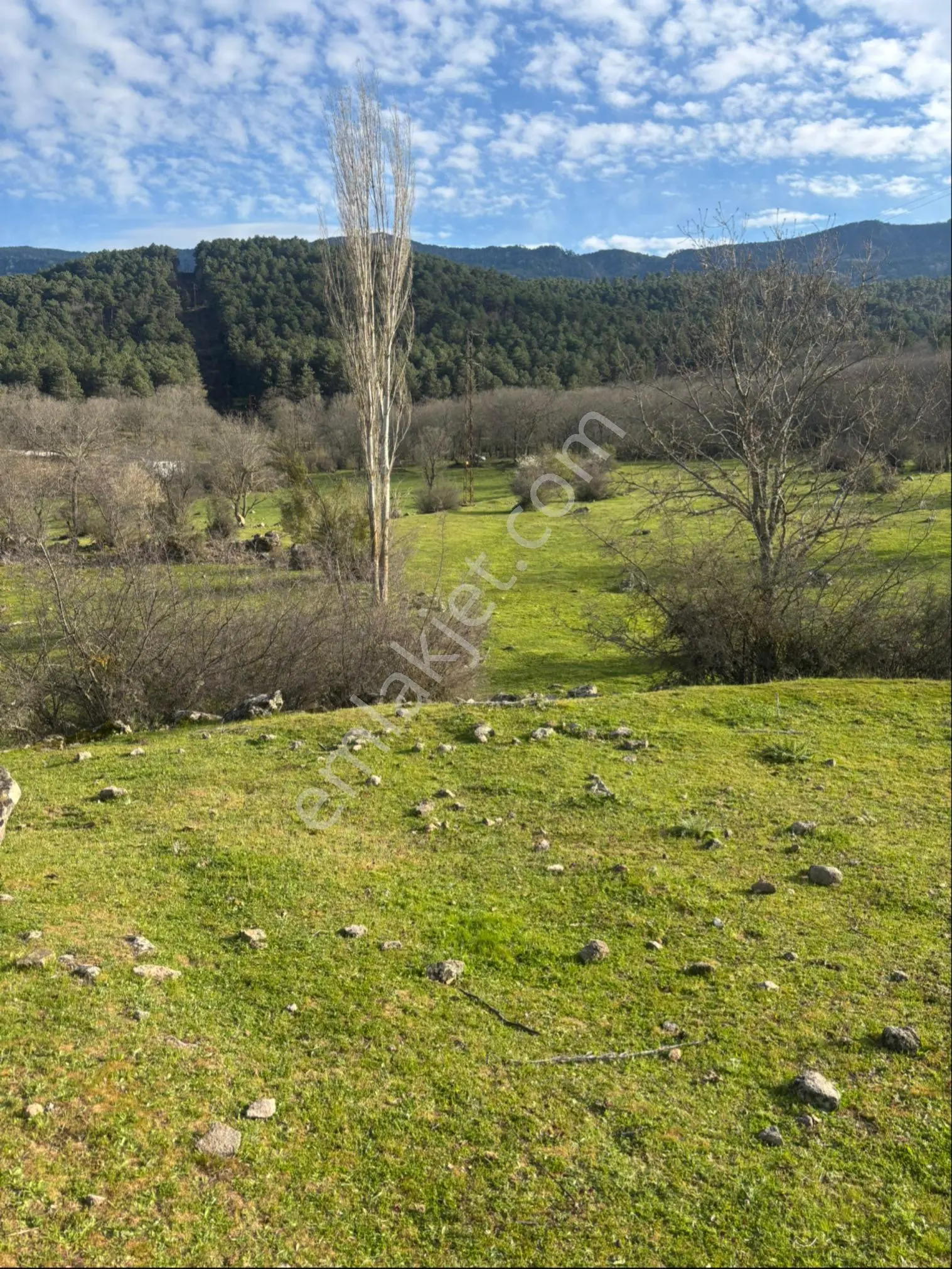 Balcity - Balıkesir Sındıgı’da 2.562 M2 - 2 Adet Yan Yana, Köy İçi İmarlı, Arsalar - Görsel 2