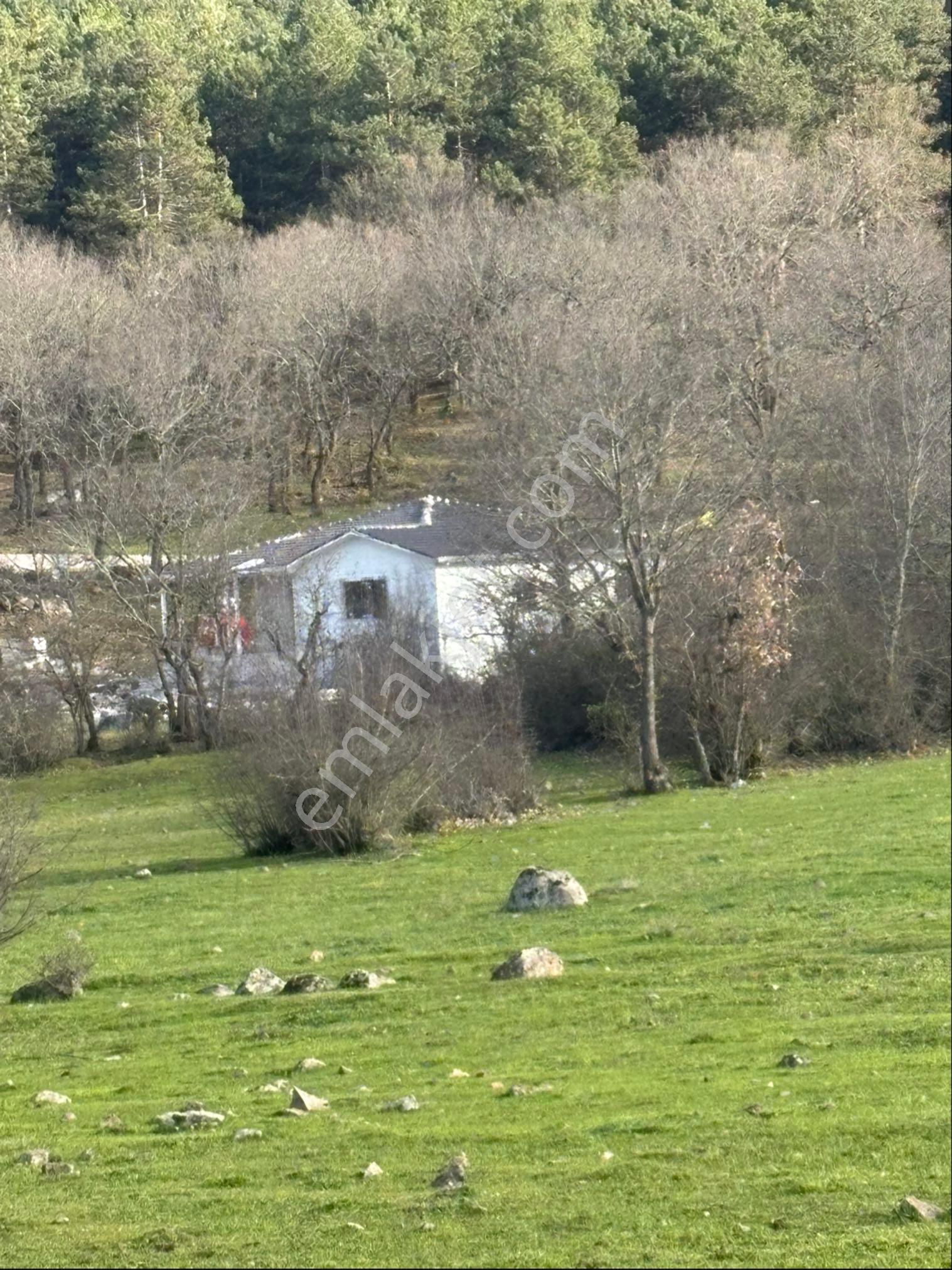 Balcity - Balıkesir Sındıgı’da 2.562 M2 - 2 Adet Yan Yana, Köy İçi İmarlı, Arsalar - Görsel 12