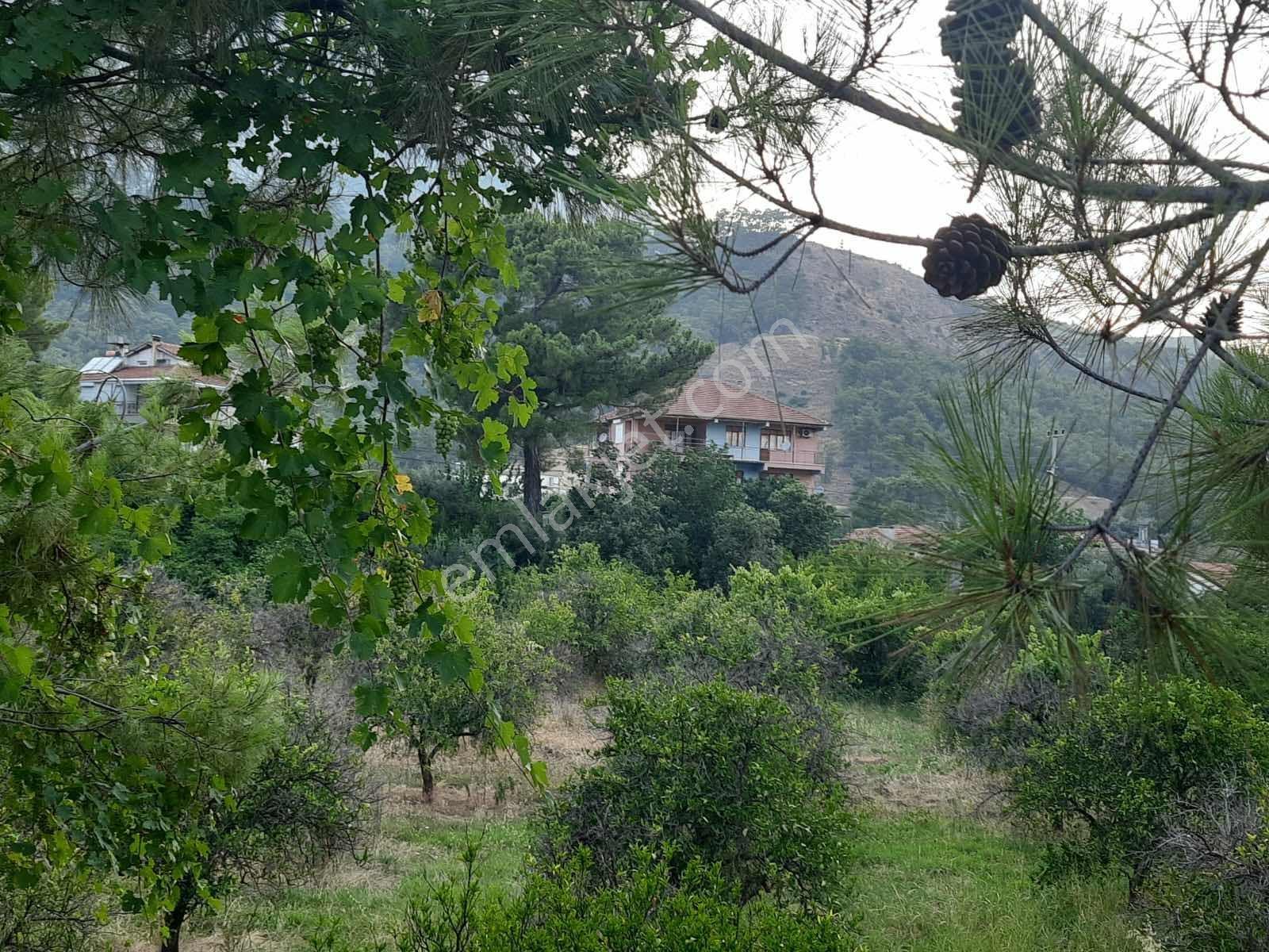 Antalya Konyaaltı Hacısekilerde Tek Tapulu Satılık Tarla - Görsel 24