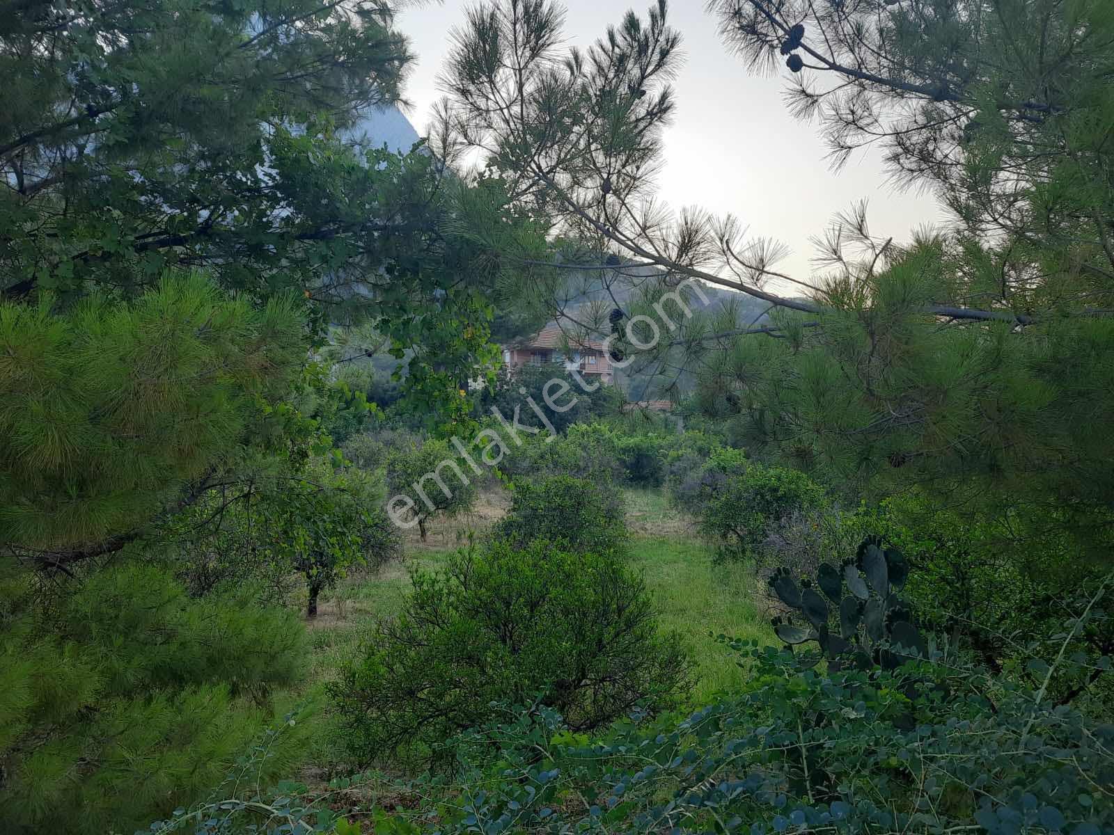 Antalya Konyaaltı Hacısekilerde Tek Tapulu Satılık Tarla - Görsel 20