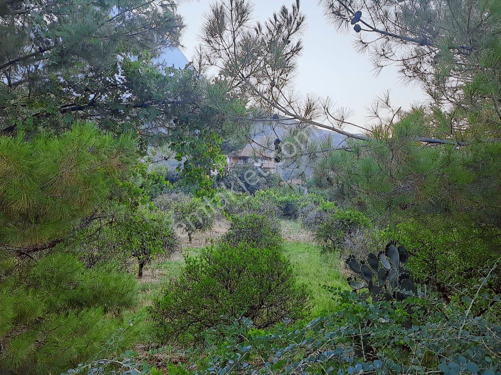 Antalya Konyaaltı Hacısekilerde Tek Tapulu Satılık Tarla - Görsel 19