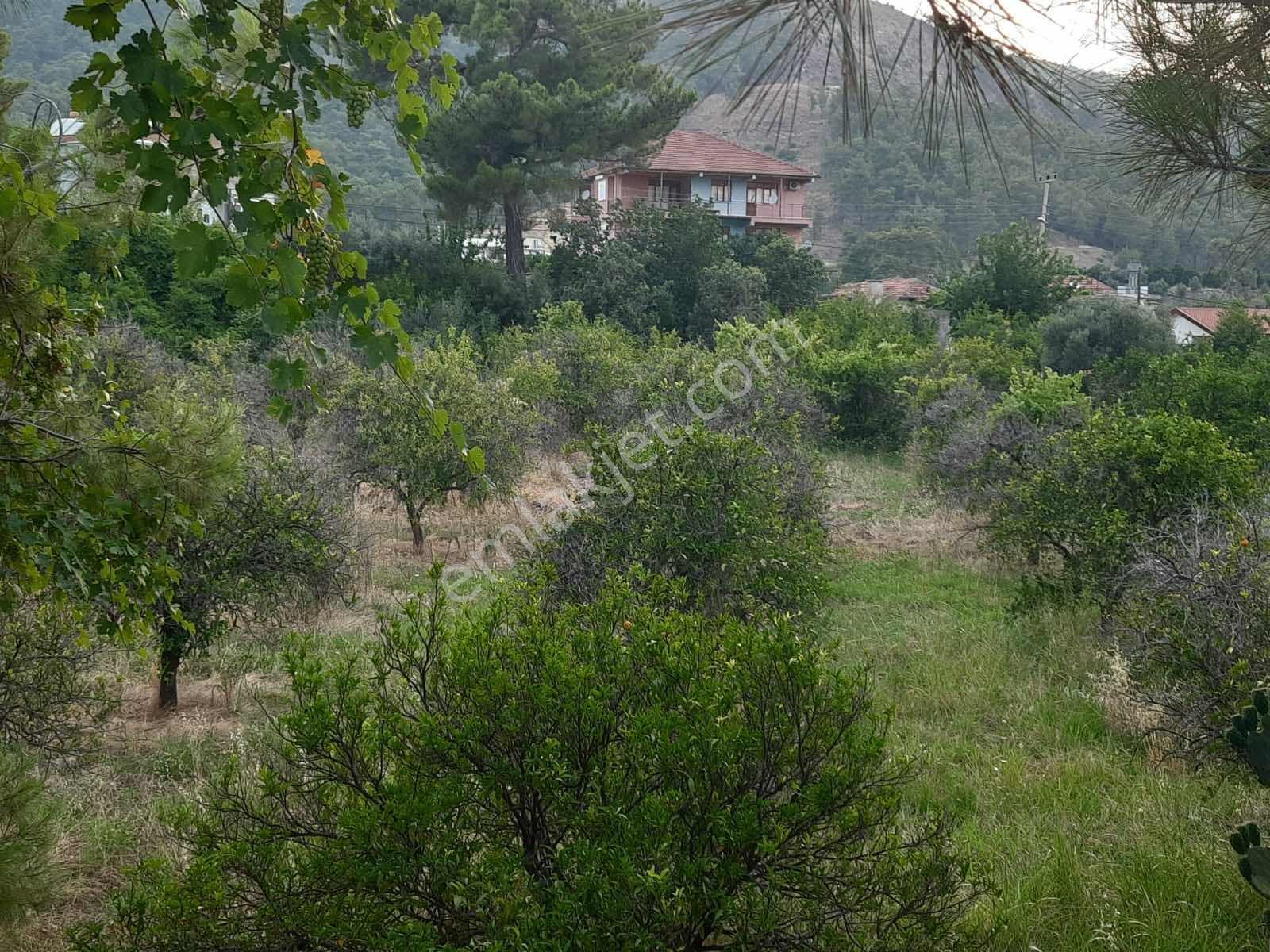 Antalya Konyaaltı Hacısekilerde Tek Tapulu Satılık Tarla - Görsel 14