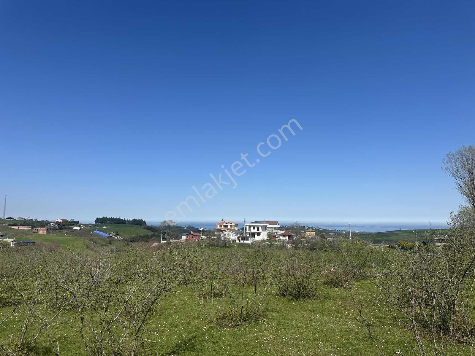 Truva'dan Atakum Taflan'da Deniz Manzaralı İmarda 4433 M2 Arsa - Görsel 6