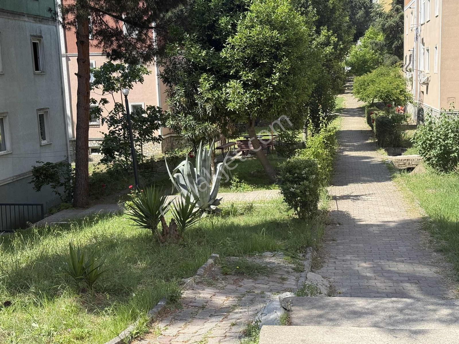 Yenişehir Mah Göçmen Konutları 4015 Adada Güney Cephe 2+1 - Görsel 24