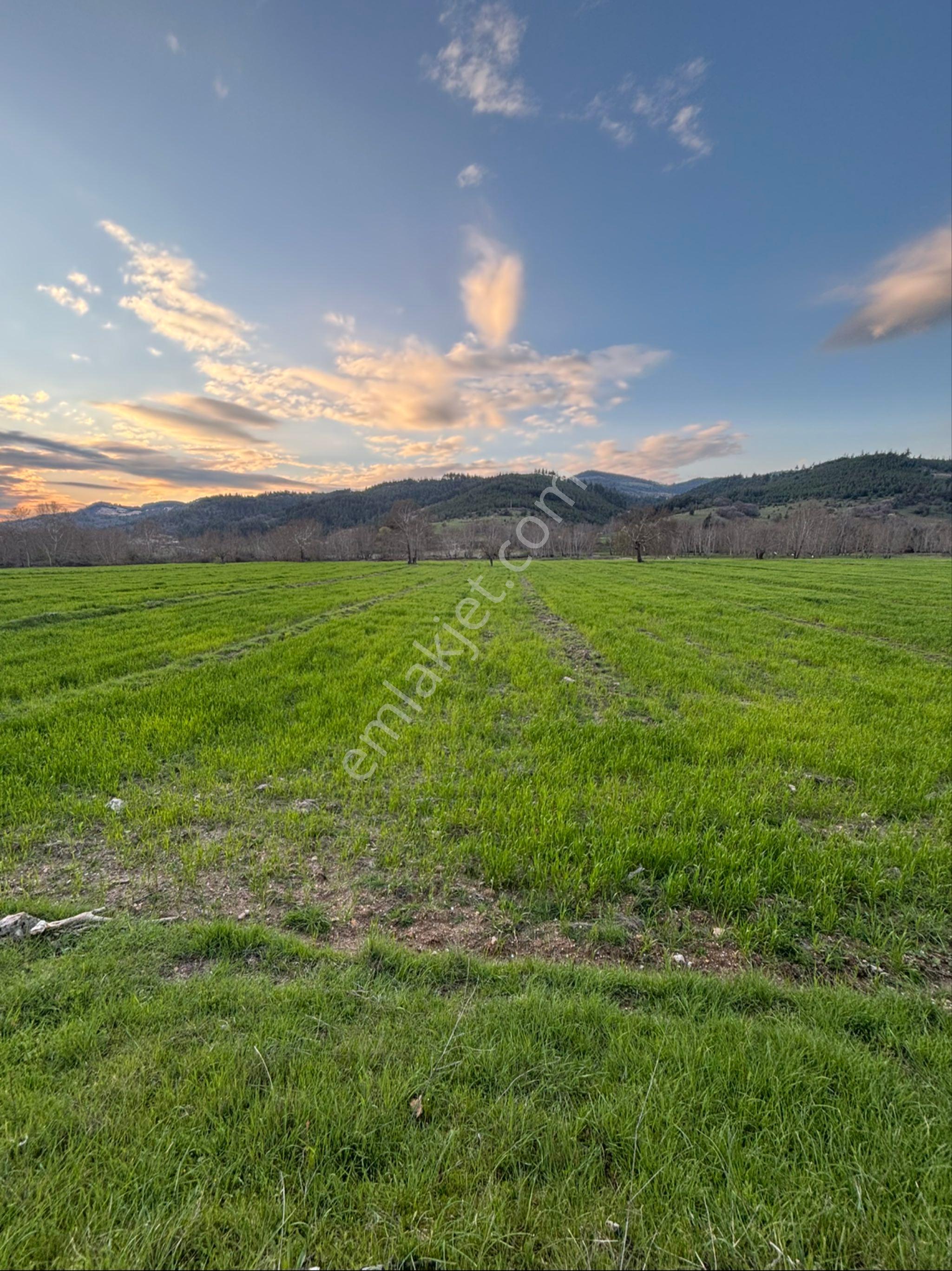 Balcity - Balıkesir Sındırgı’da Resmi Yola Ve Simav Çayına Cepheli 2.578 M² Tarla - Görsel 14
