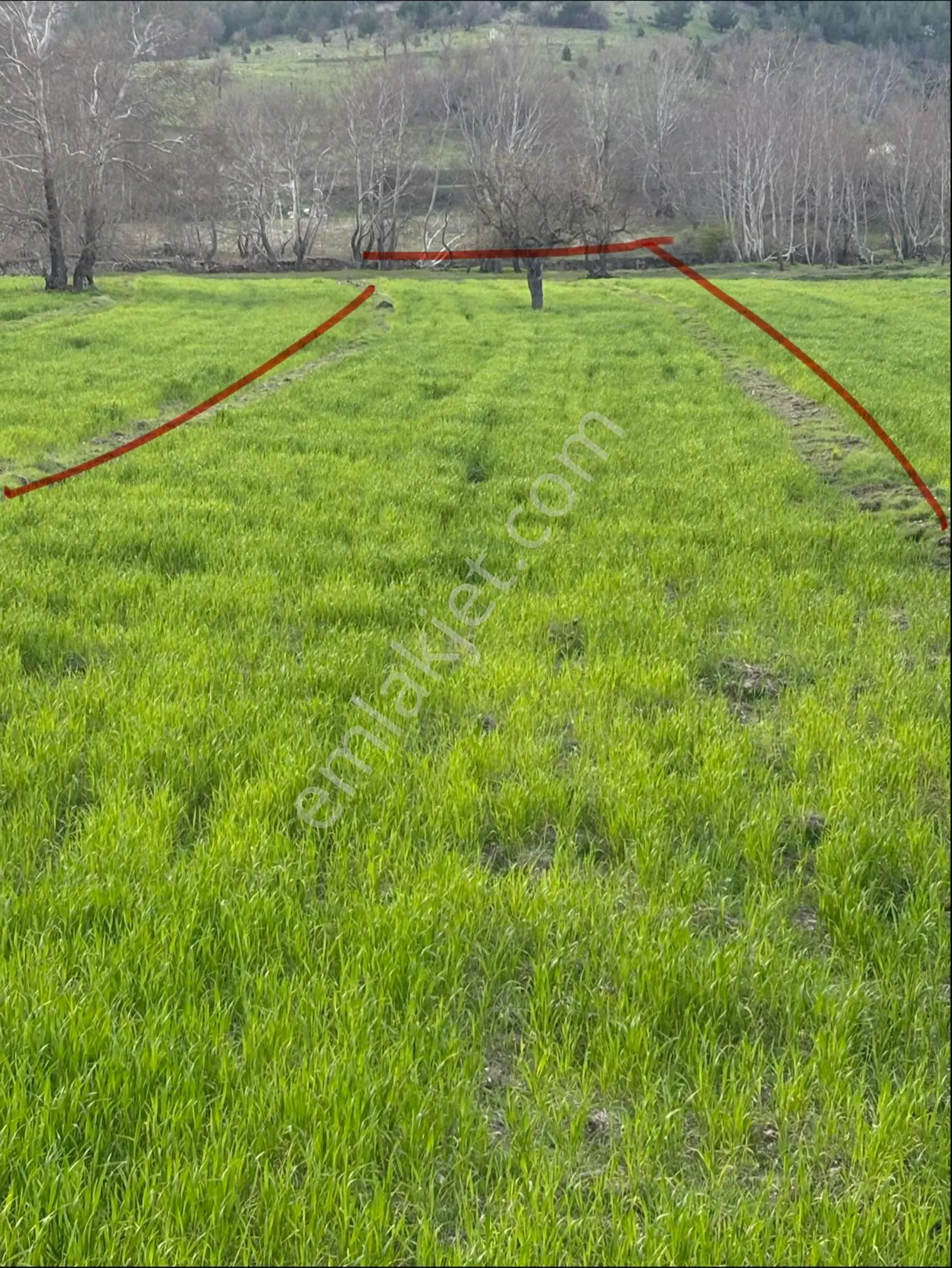 Balcity - Balıkesir Sındırgı’da Resmi Yola Ve Simav Çayına Cepheli 2.578 M² Tarla