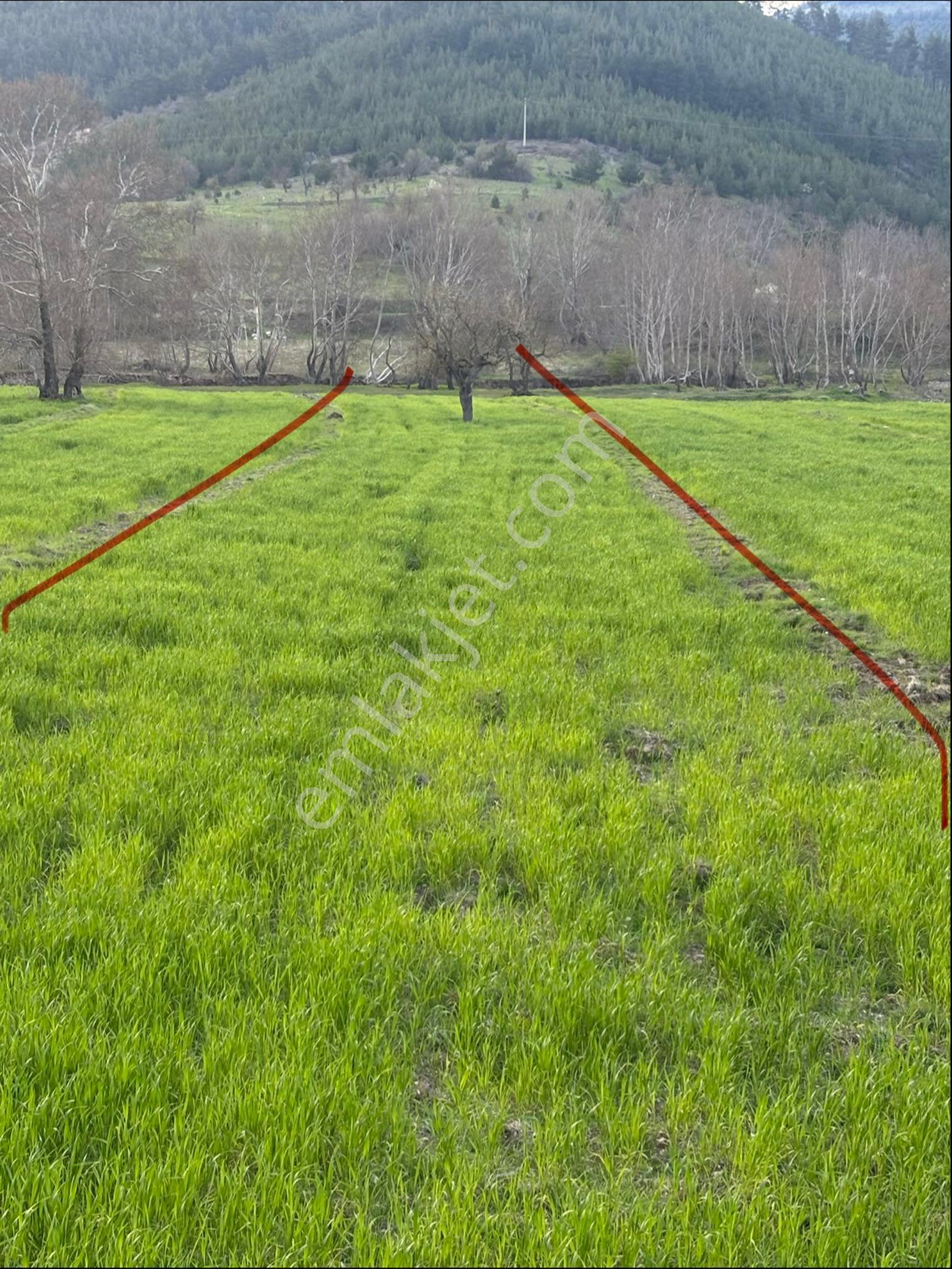 Balcity - Balıkesir Sındırgı’da Resmi Yola Ve Simav Çayına Cepheli 2.578 M² Tarla - Görsel 12