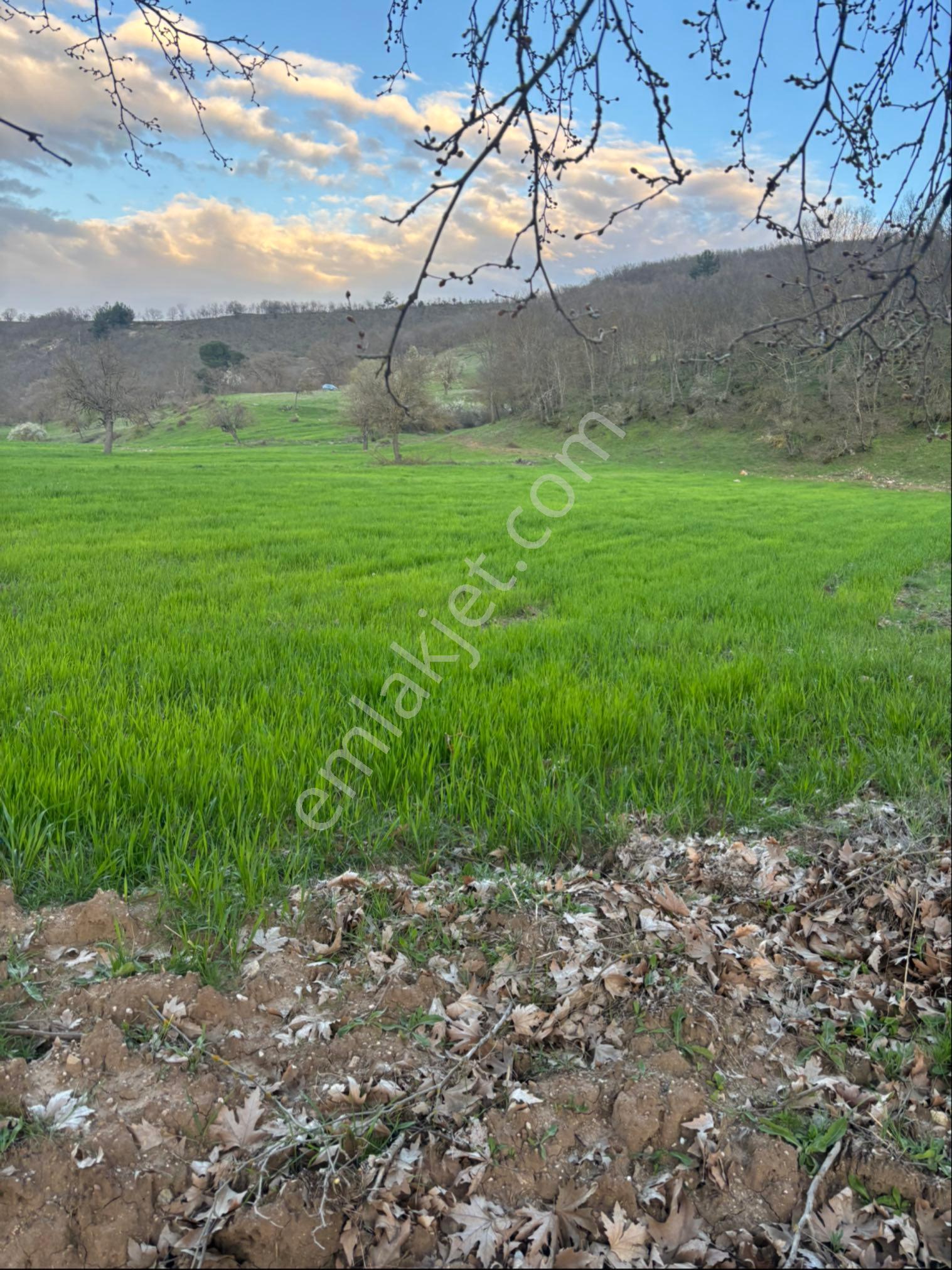 Balcity - Balıkesir Sındırgı’da Resmi Yola Ve Simav Çayına Cepheli 603 M² Tarla - Görsel 13