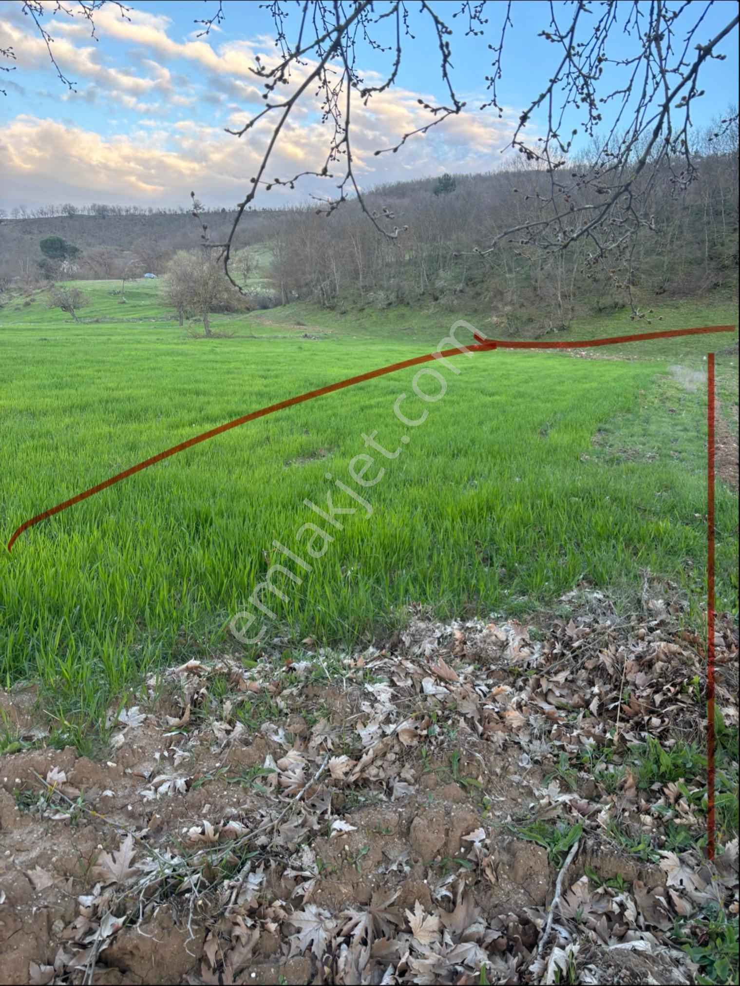 Balcity - Balıkesir Sındırgı’da Resmi Yola Ve Simav Çayına Cepheli 603 M² Tarla - Görsel 8