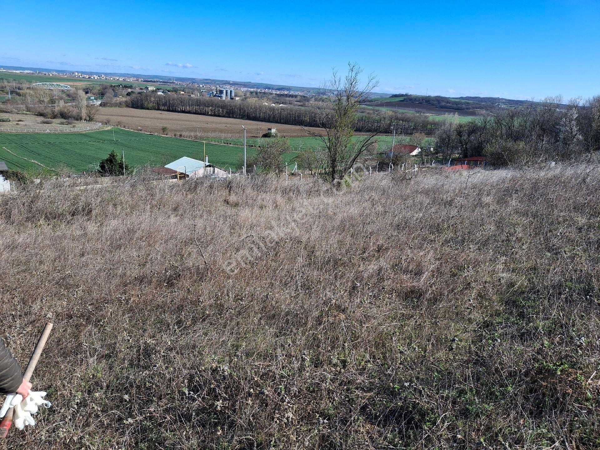 Tekirdağ Muratlı İnanlı Köyünde 700 M2 Alana Sahip Niteliği Bağ Olan Yer Satılıktır.