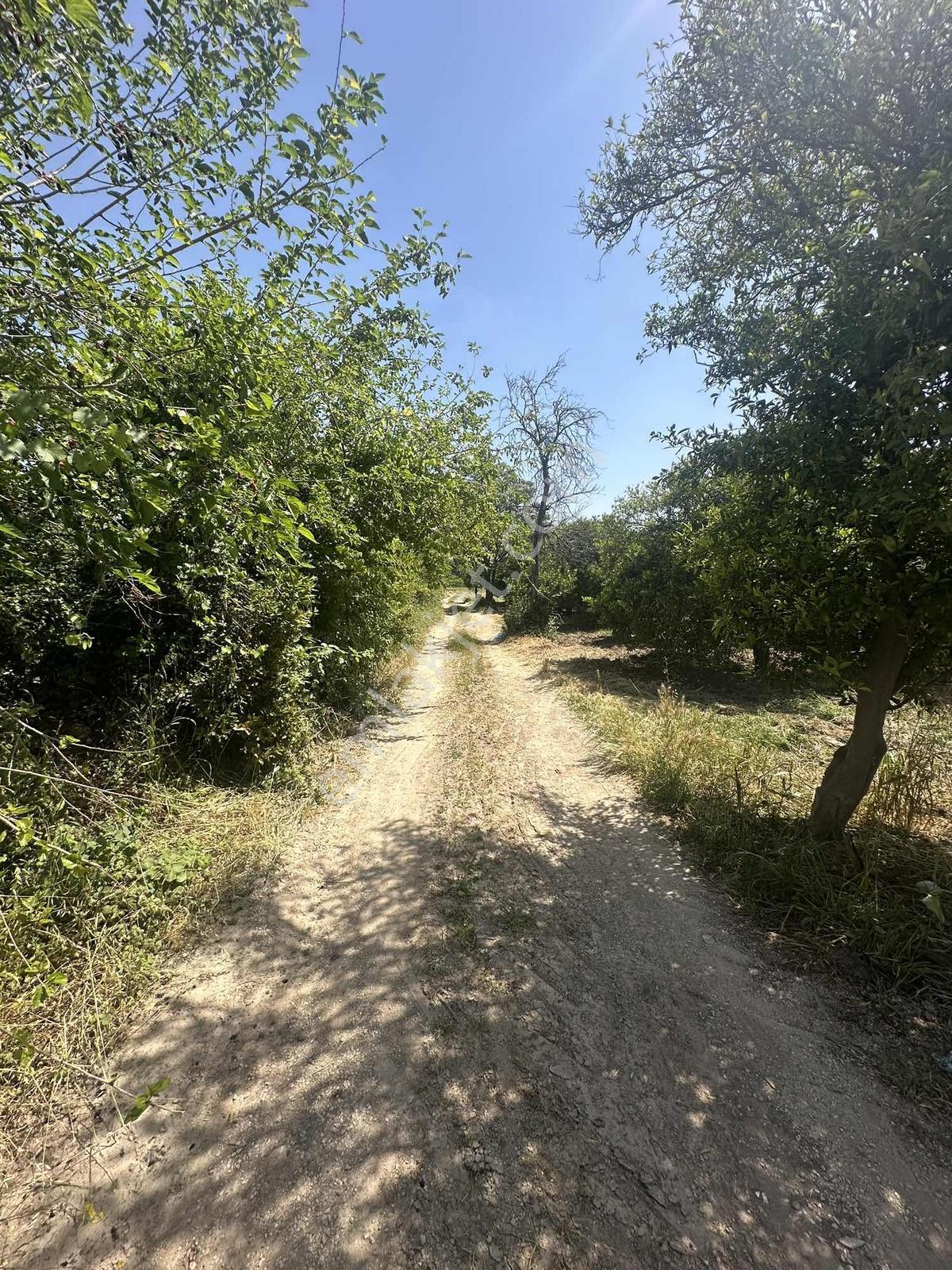 Konyaaltı Aşağıkaramanda Satılık 8 Dönüm Tarlamız Denize 7 Km - Görsel 26