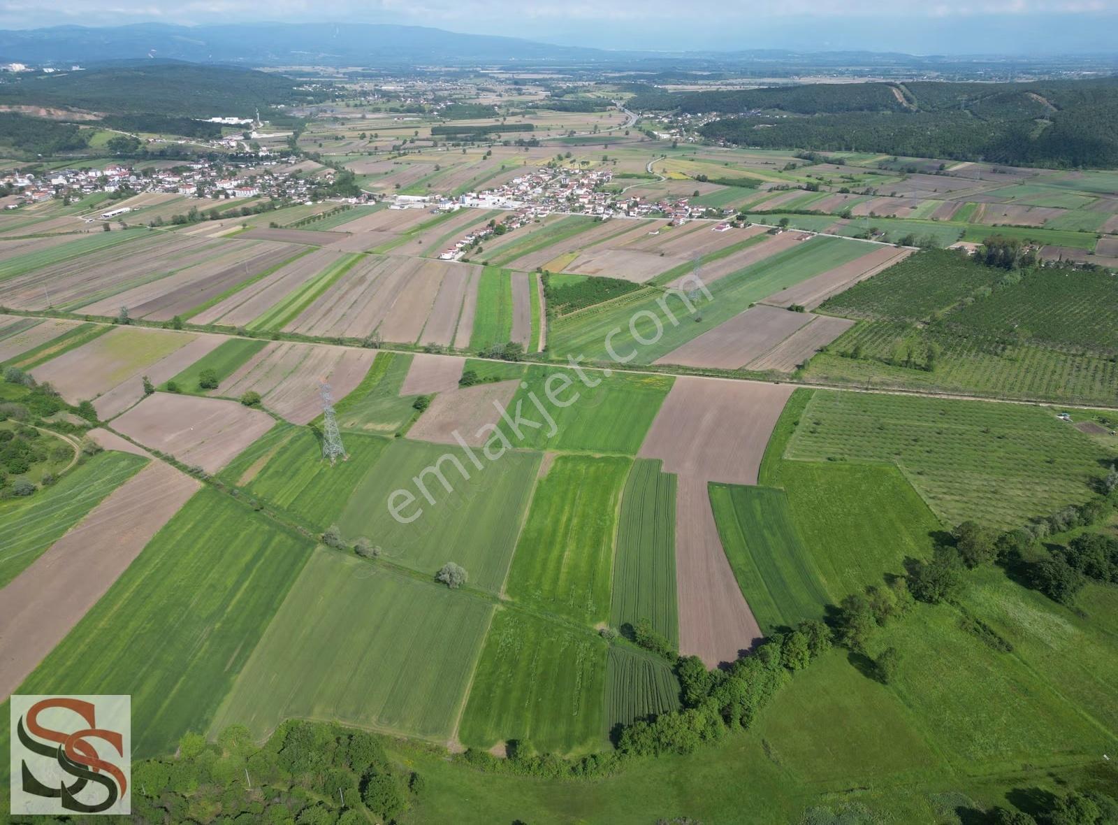 Söğütlü Akgöl'de Yatırımlık 23.194 M² (23 Dönüm) Fırsat Tarla - Görsel 16