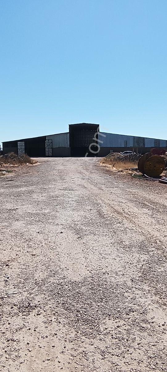 Kızıltepe Akdoğan Yolu 7750 Mt Komple İş Sahası Satılıktır - Görsel 33