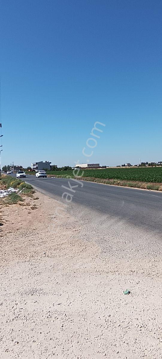 Kızıltepe Akdoğan Yolu 7750 Mt Komple İş Sahası Satılıktır - Görsel 3