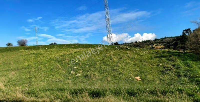 2.5 Dönüm Tarla Çiftlikköy- Köy İçi Mevkii