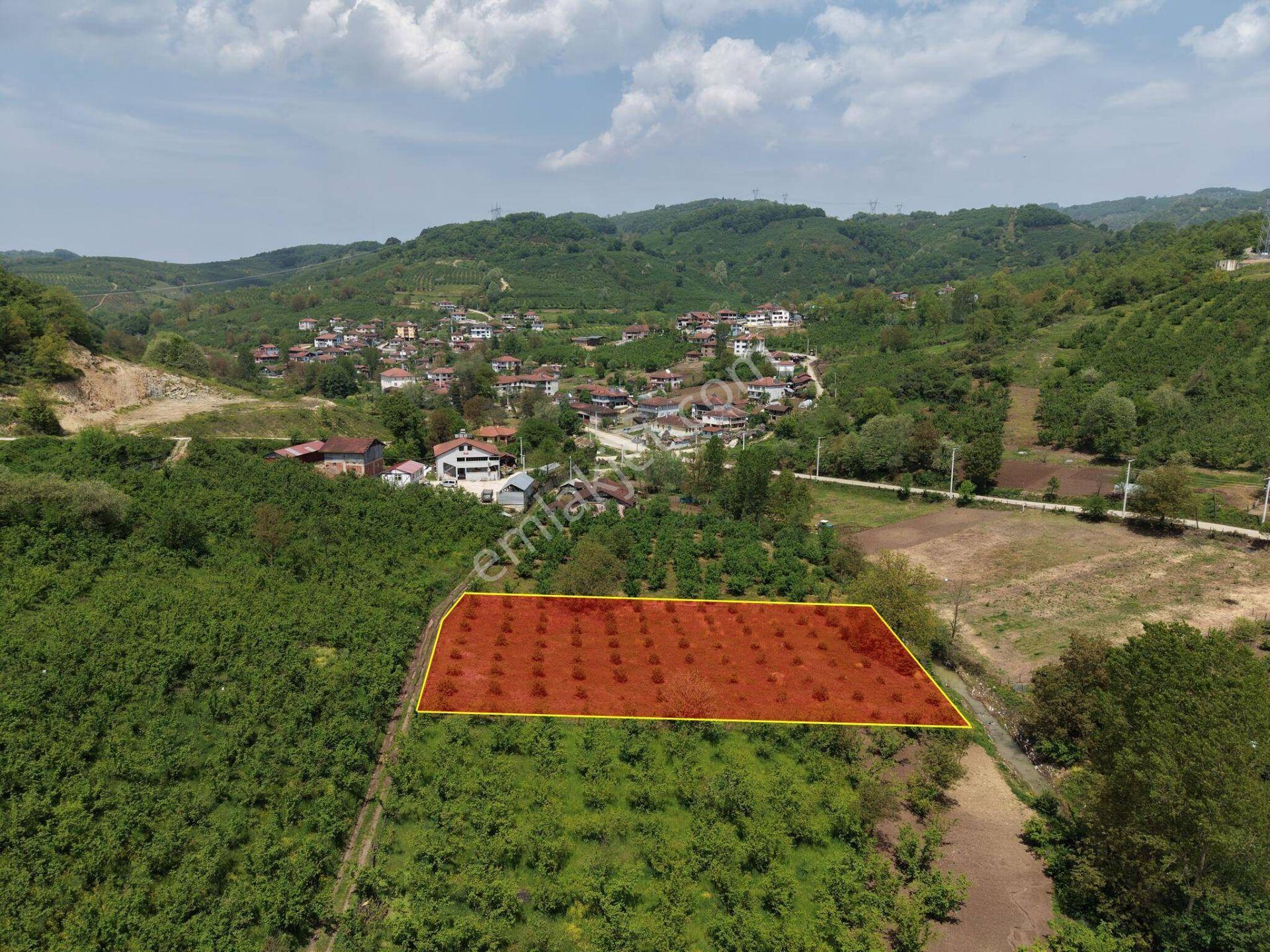Nv Gayrimenkul Kemer Kasım Köyü'nde 2819 M2 Satılık İmarlı Arsa - Görsel 5