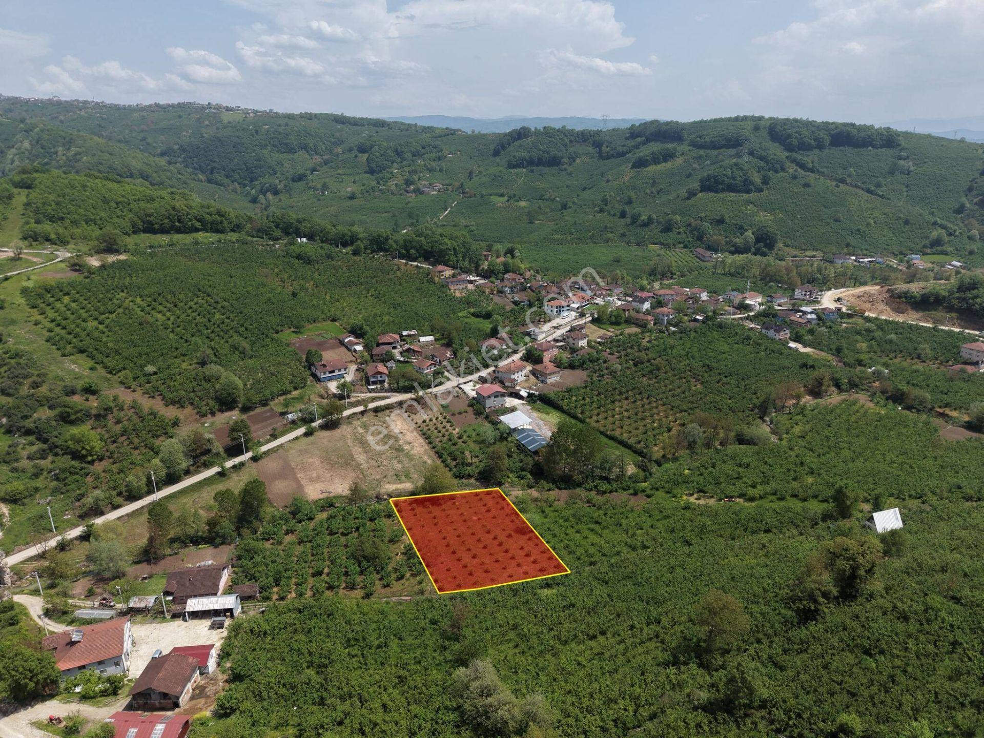 Nv Gayrimenkul Kemer Kasım Köyü'nde 2819 M2 Satılık İmarlı Arsa - Görsel 29