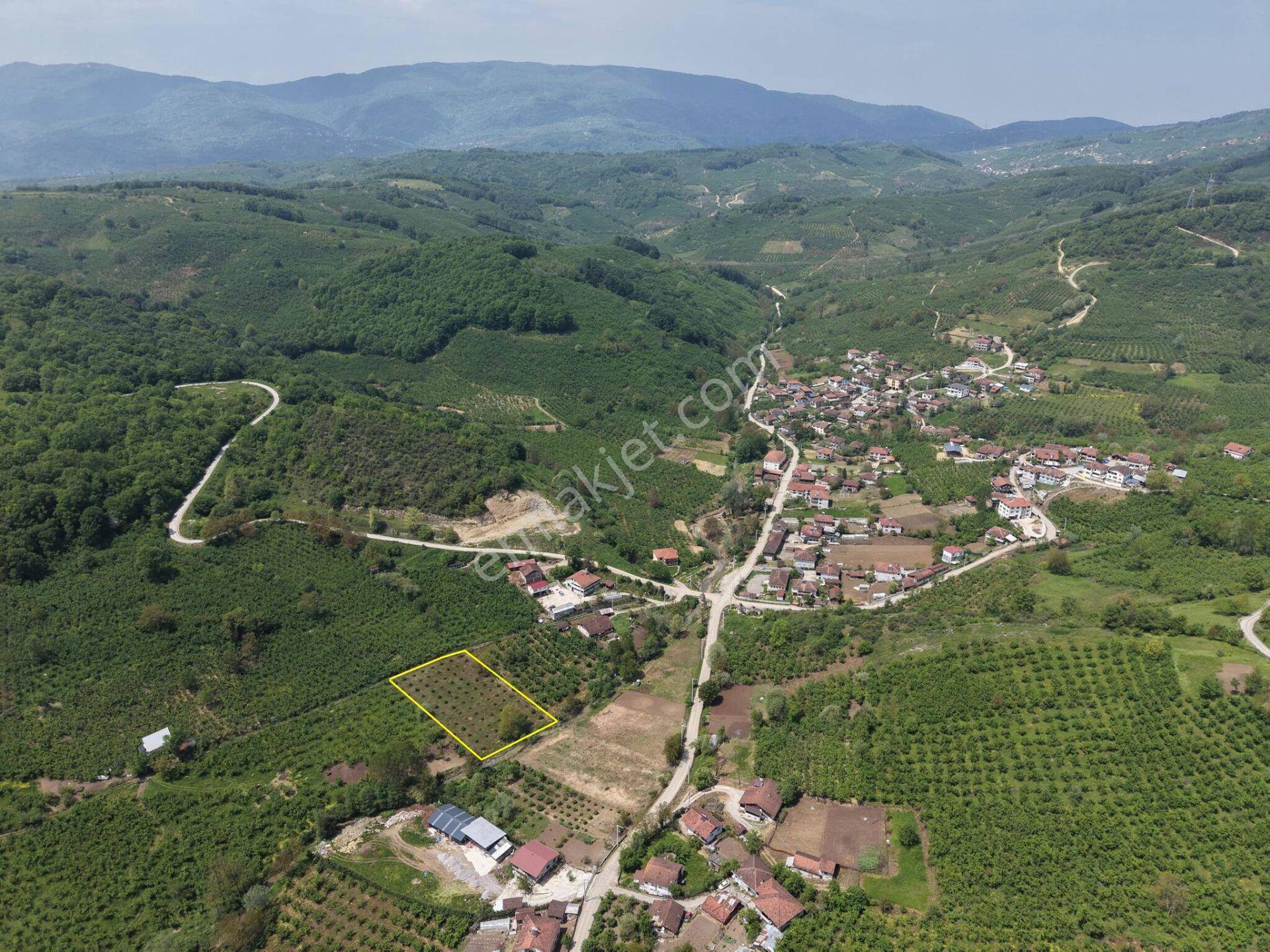 Nv Gayrimenkul Kemer Kasım Köyü'nde 2819 M2 Satılık İmarlı Arsa - Görsel 34