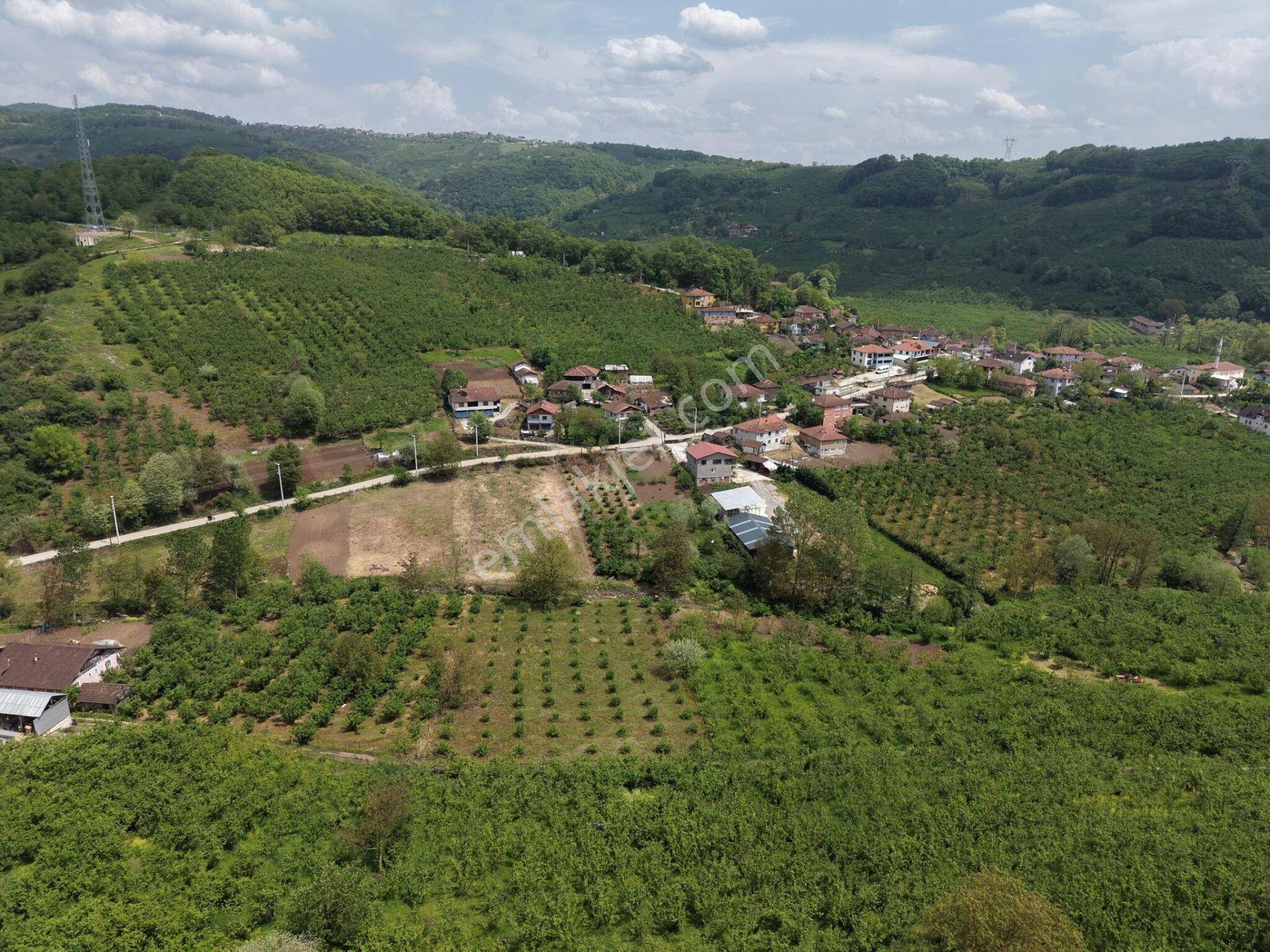Nv Gayrimenkul Kemer Kasım Köyü'nde 2819 M2 Satılık İmarlı Arsa - Görsel 33