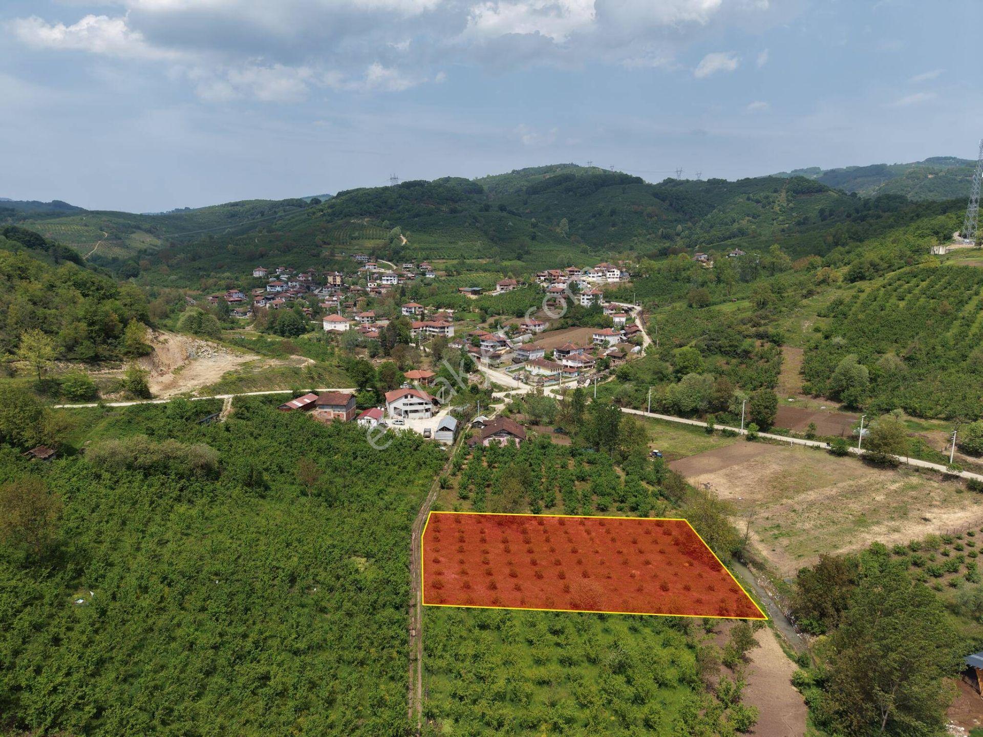 Nv Gayrimenkul Kemer Kasım Köyü'nde 2819 M2 Satılık İmarlı Arsa - Görsel 3