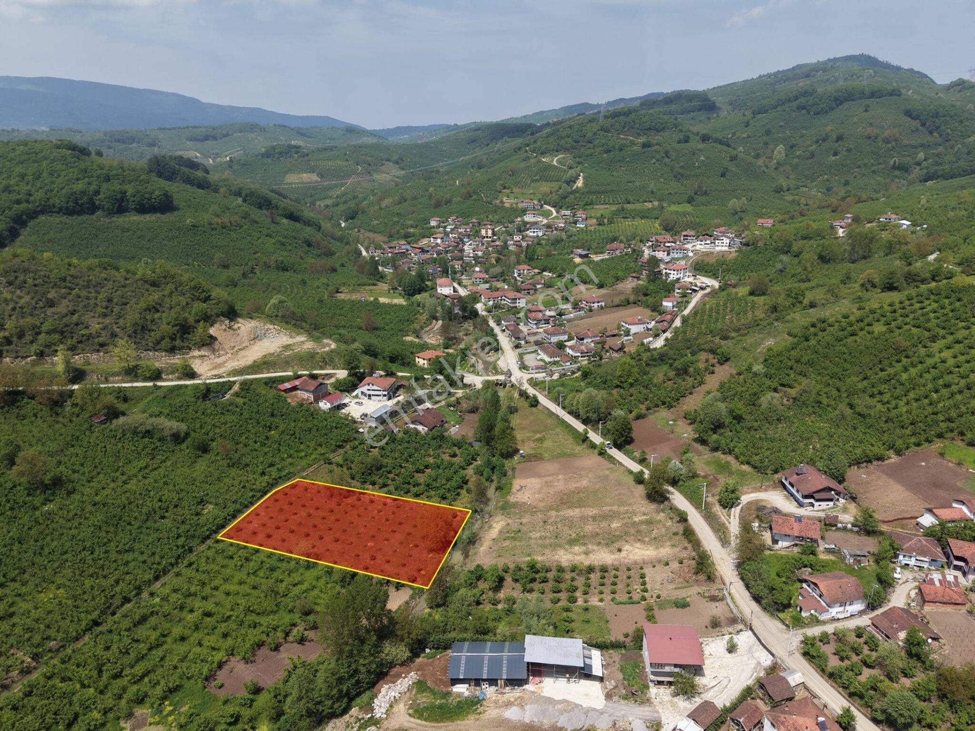 Nv Gayrimenkul Kemer Kasım Köyü'nde 2819 M2 Satılık İmarlı Arsa - Görsel 8