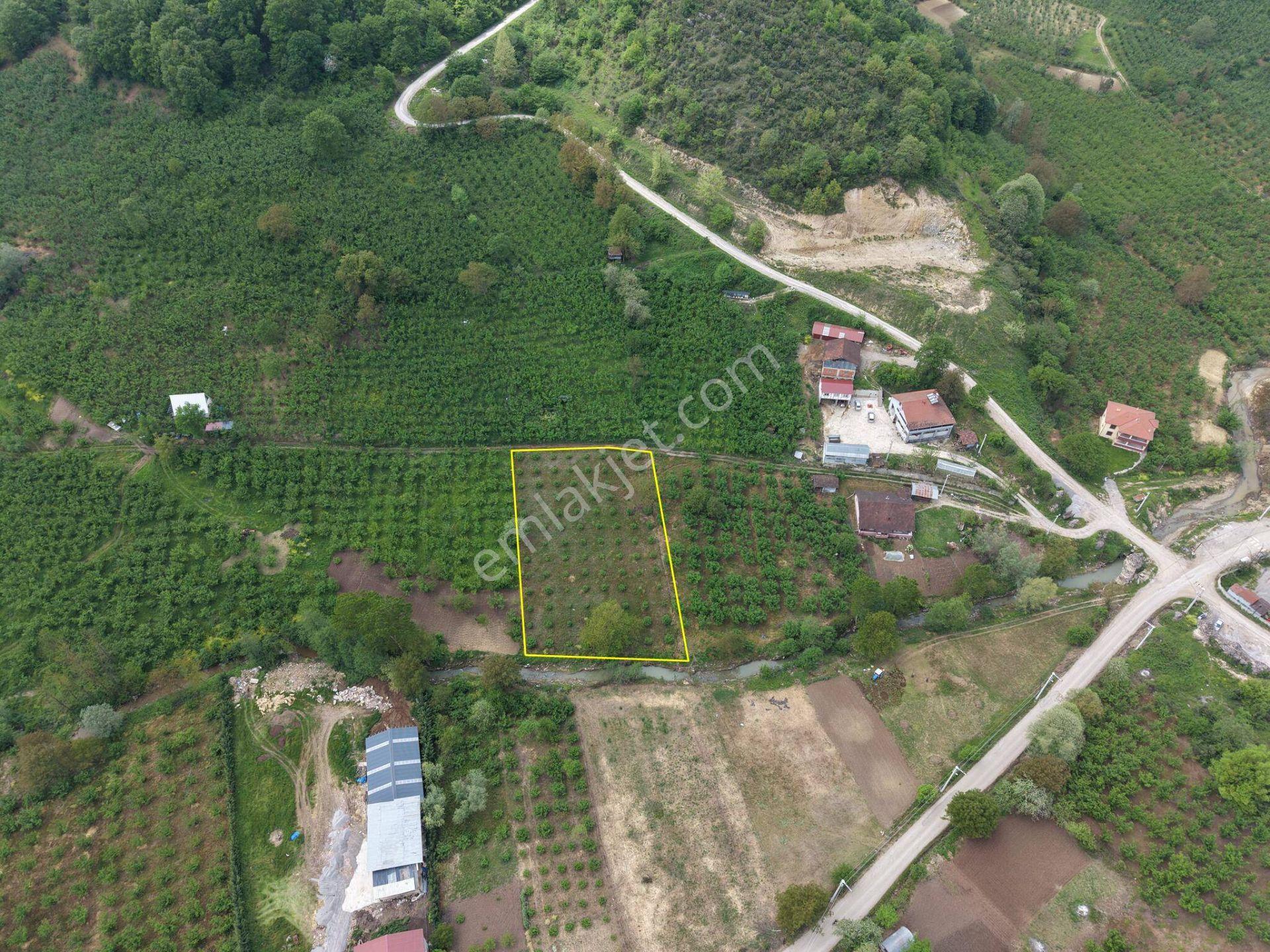 Nv Gayrimenkul Kemer Kasım Köyü'nde 2819 M2 Satılık İmarlı Arsa - Görsel 22