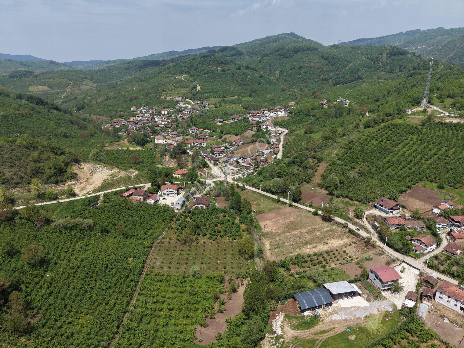 Nv Gayrimenkul Kemer Kasım Köyü'nde 2819 M2 Satılık İmarlı Arsa - Görsel 18