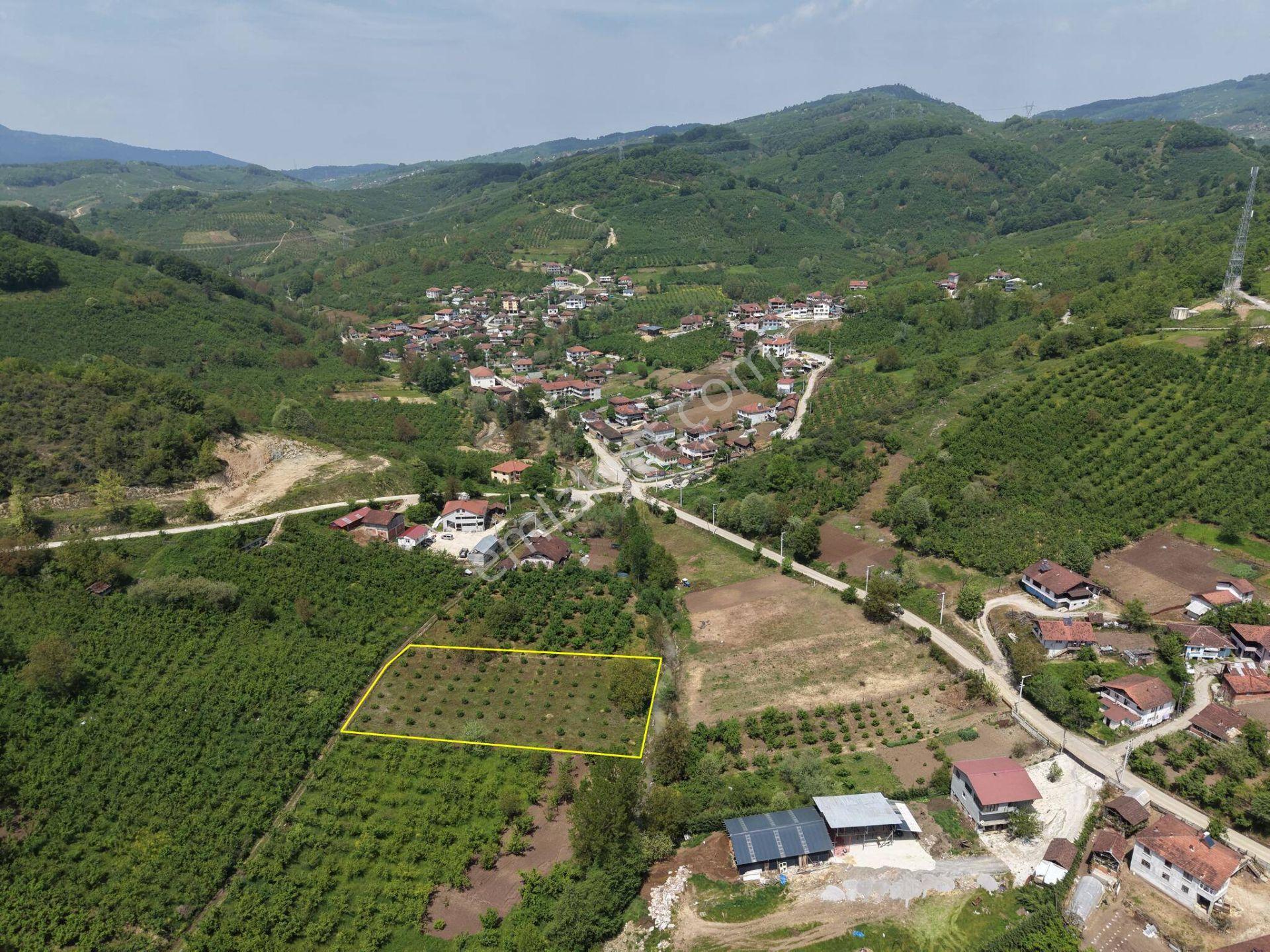Nv Gayrimenkul Kemer Kasım Köyü'nde 2819 M2 Satılık İmarlı Arsa - Görsel 32