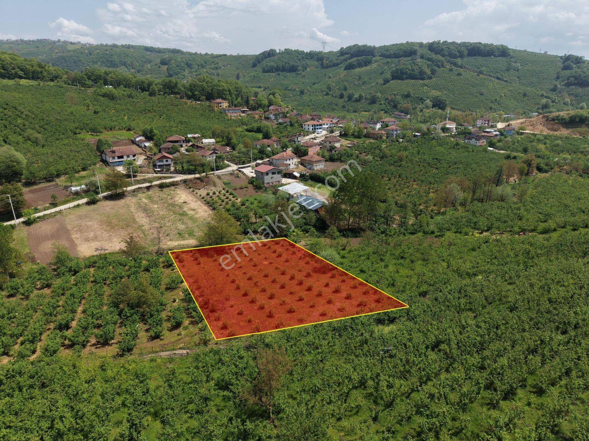 Nv Gayrimenkul Kemer Kasım Köyü'nde 2819 M2 Satılık İmarlı Arsa - Görsel 4